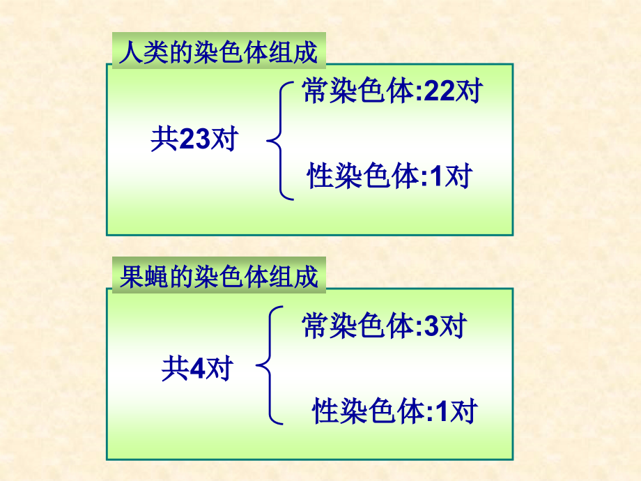 生物必修三第二章第三节_第4页