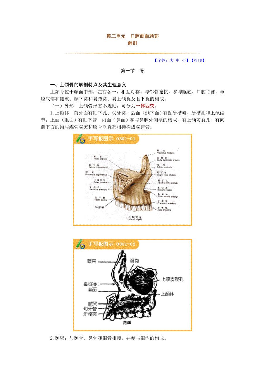 口腔颌面颈部解剖_第1页