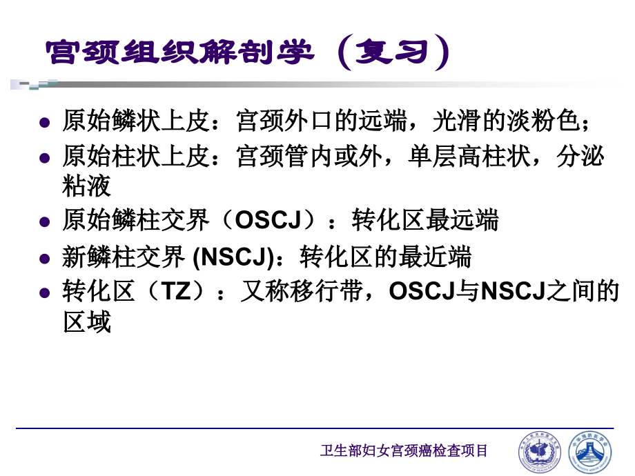 爱爱医资源-(省级县级妇科临床组120分钟)阴道镜检查步骤和结果解释_第3页