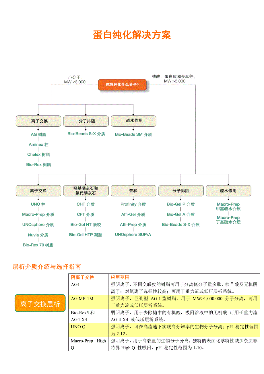 蛋白纯化 层析介质介绍与选择_第1页