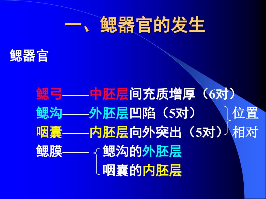 颜面与腭的发生_第2页