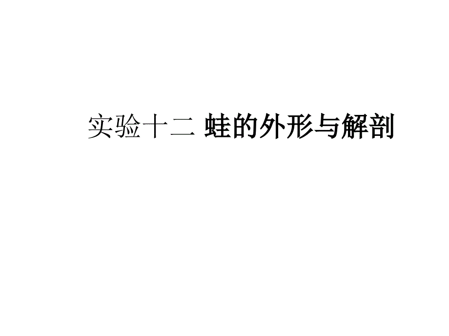 实验12 蛙的解剖_第1页