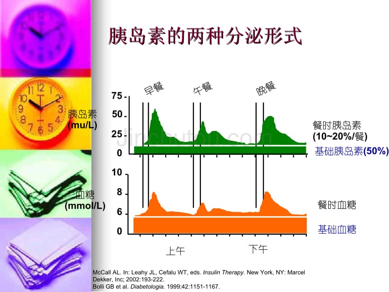 胰岛素泵的治疗与使用_第4页