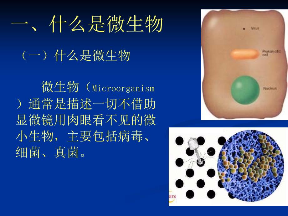 [农林牧渔]微生物肥料简介_第2页