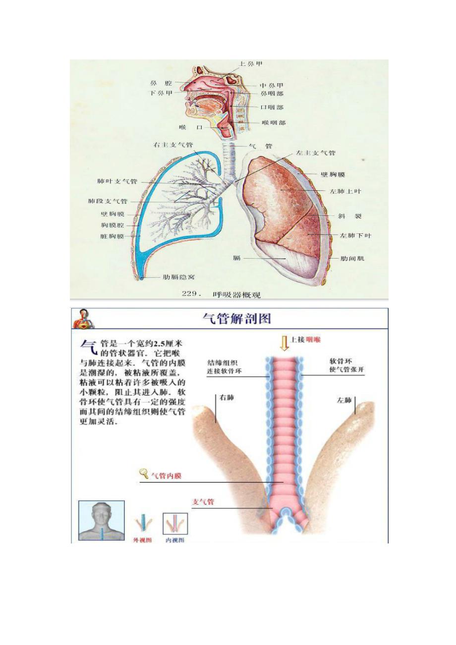 外伤和疾病的关系_第1页