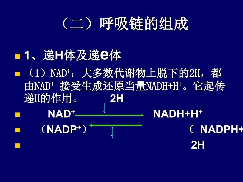 [医学]第六章生物氧化_第5页