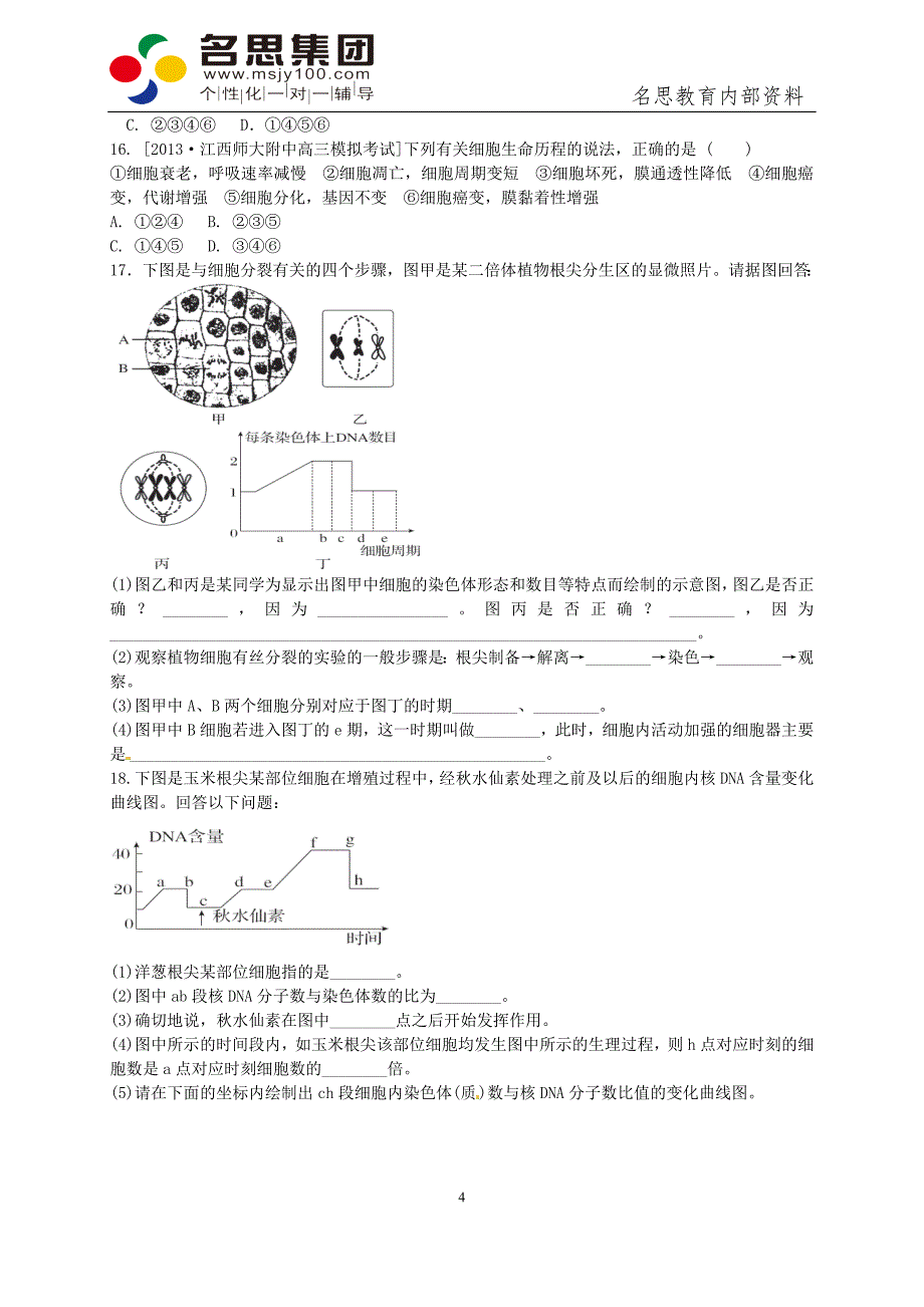 细胞的增殖习题_第4页