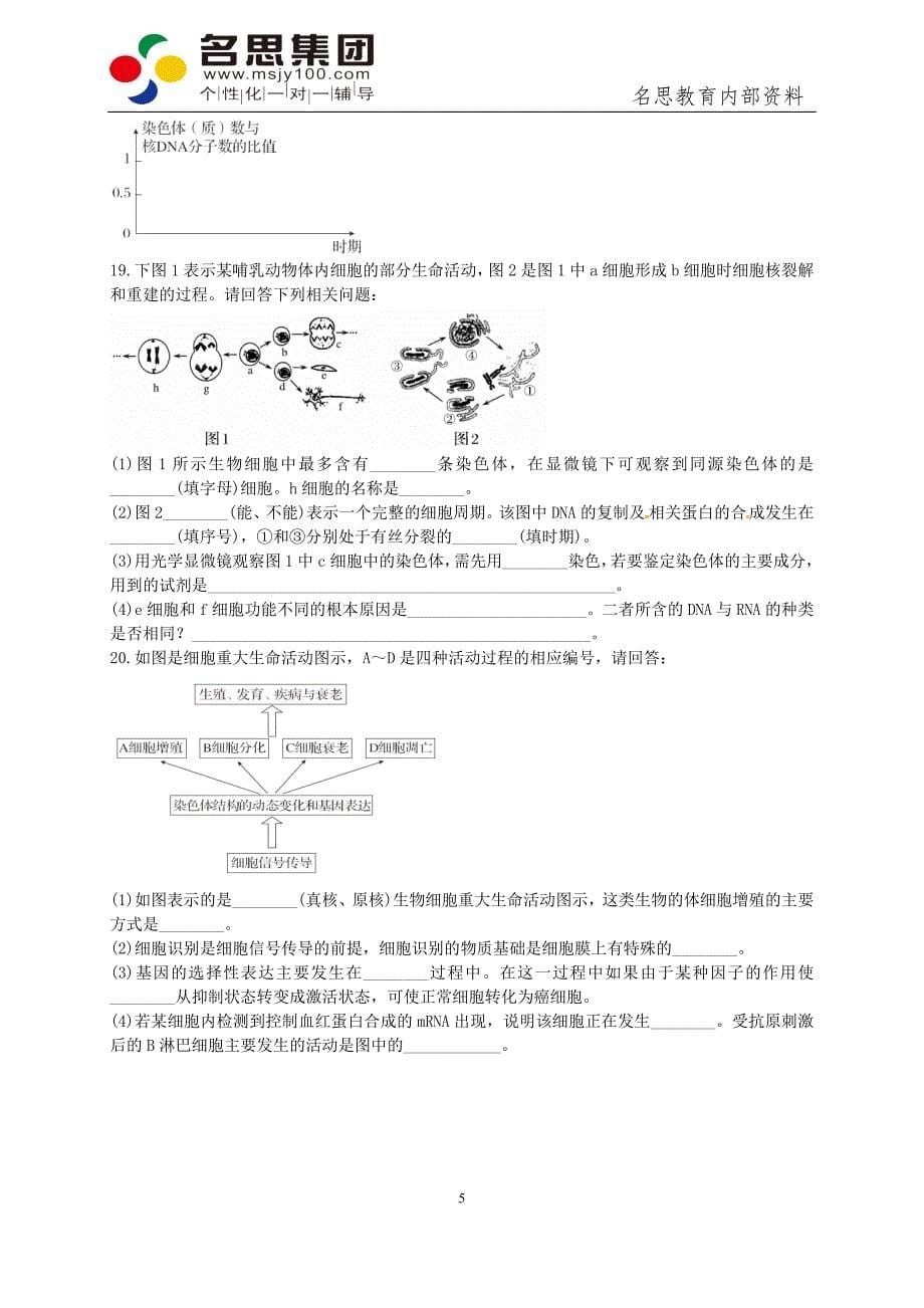 细胞的增殖习题_第5页