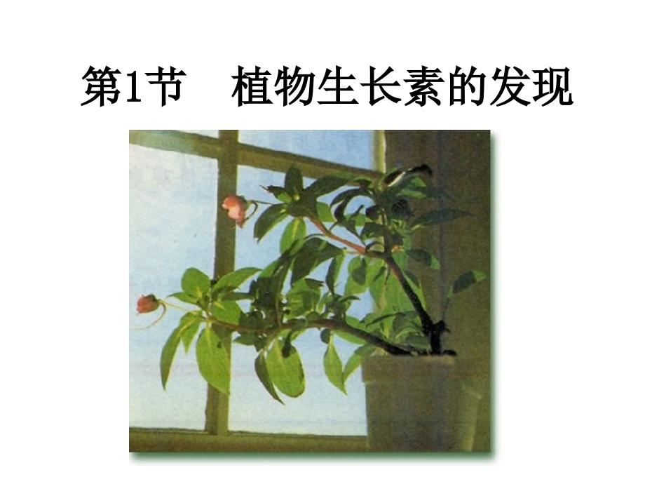 人教版教学课件植物生长素的发现课件20_第3页