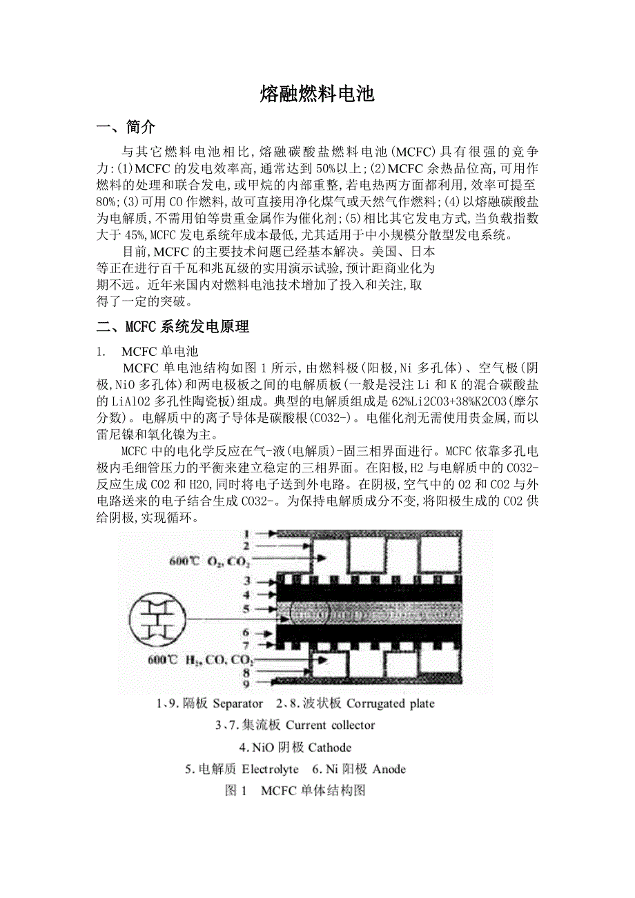 熔融碳酸盐燃料电池_第2页