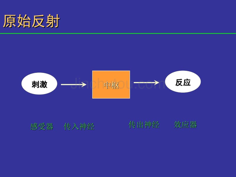 妇幼保健学课件--婴儿神经反射与发育里程碑的评定_第2页