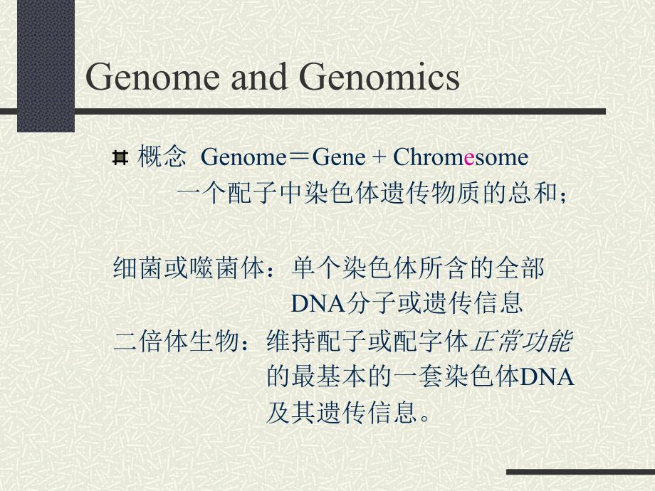 动物遗传学-动物基因组学基础(二)_第4页