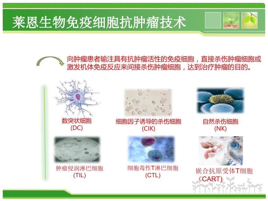 莱恩生物干细胞储存ppt 2015_第4页
