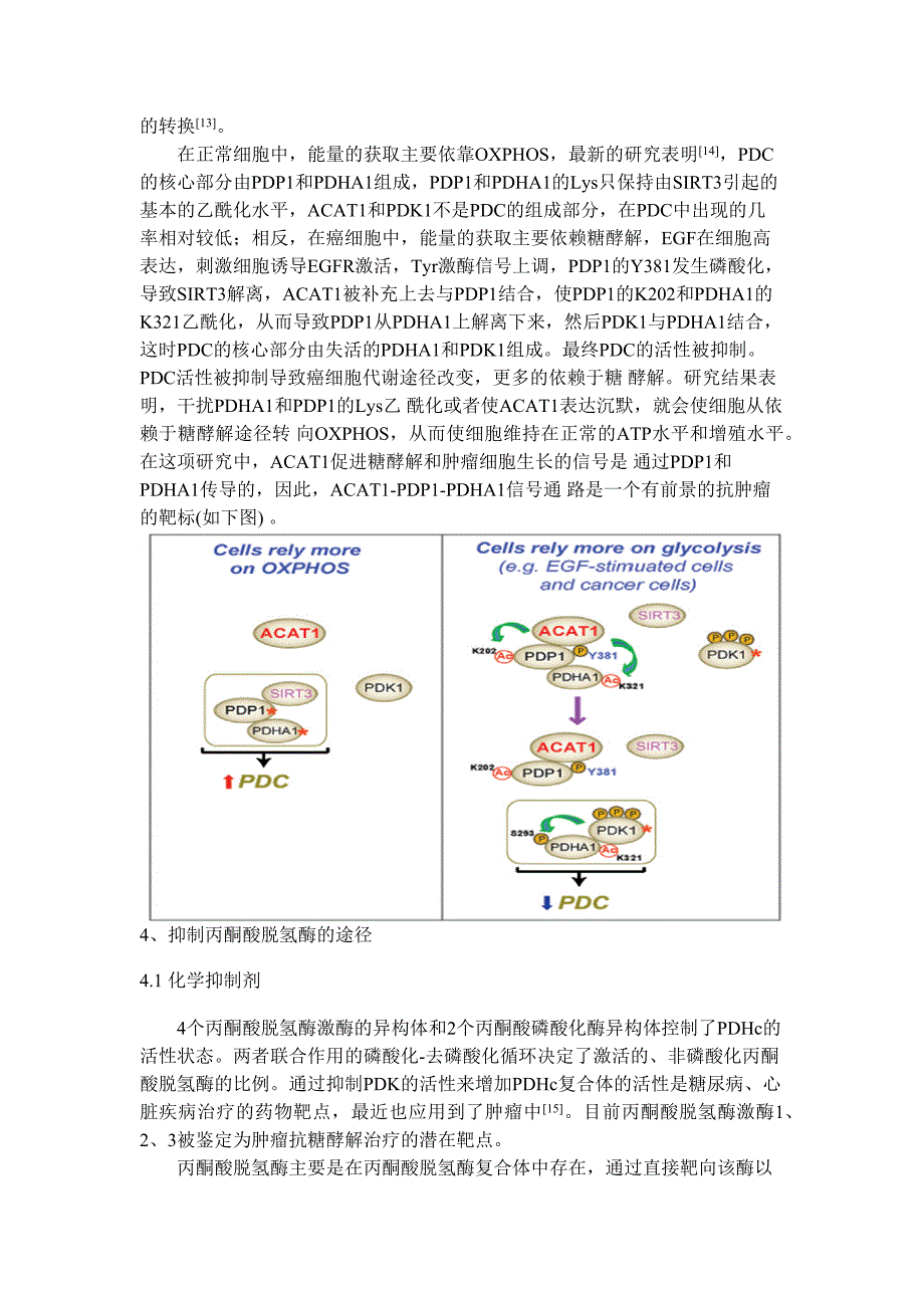 代谢与肿瘤的关系_第3页