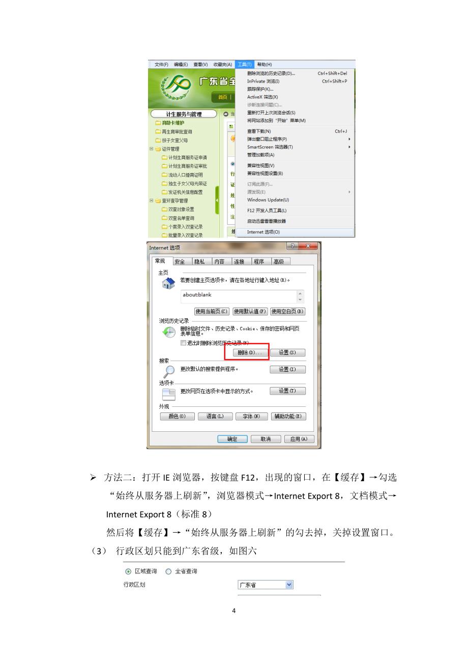 广东省全员人口信息系统_浏览设置指南_第4页