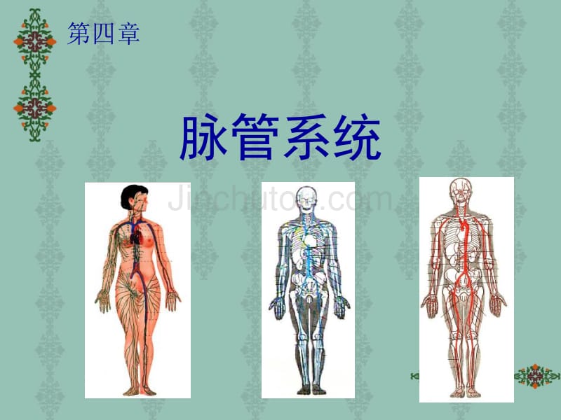 脉管系统 heartv2010_第1页