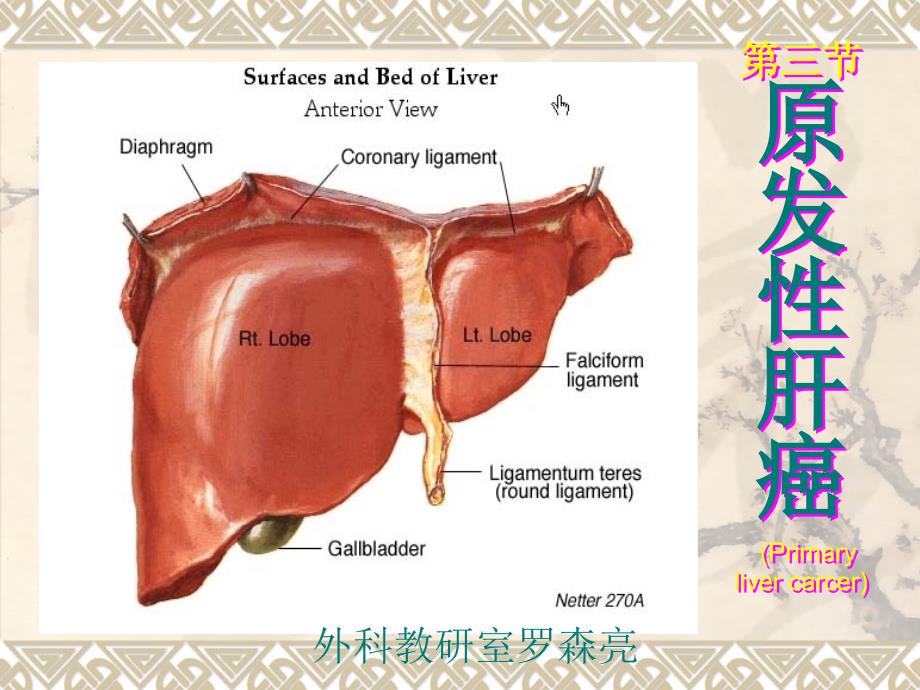 内科护理学原发性肝癌_第1页