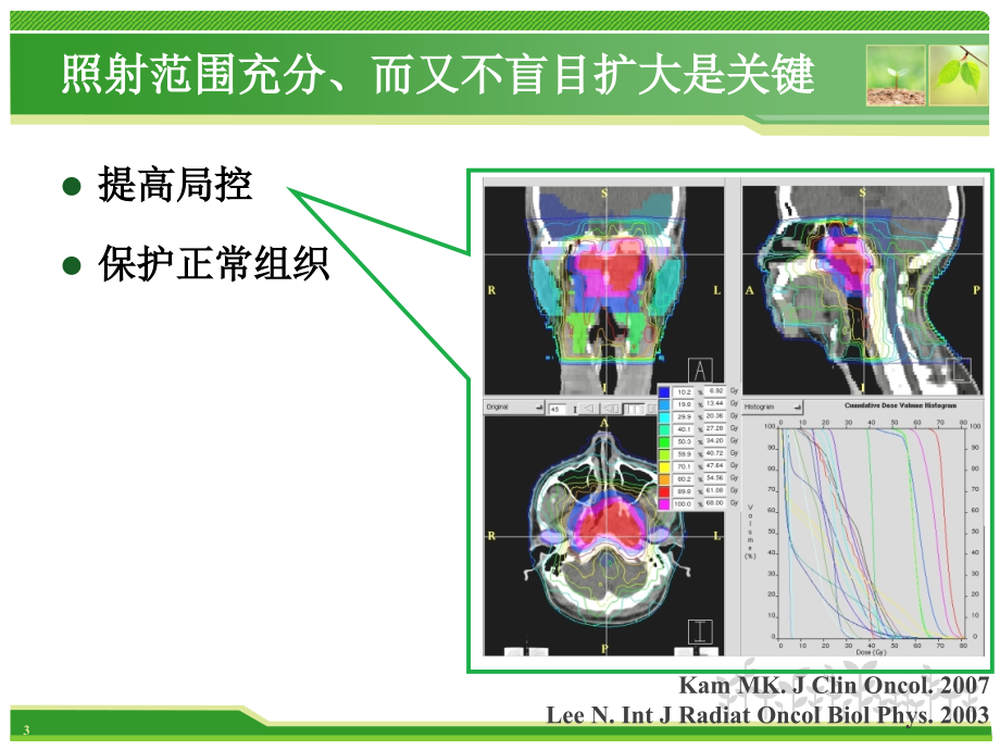 梧州鼻咽癌靶区勾画_第3页