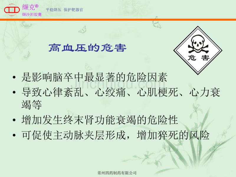 高血压与合理用药_第4页