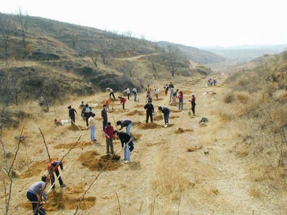 初一生物课件《爱护植被 绿化祖国》_第4页