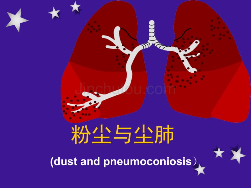 健康与社会李丽萍_第1页