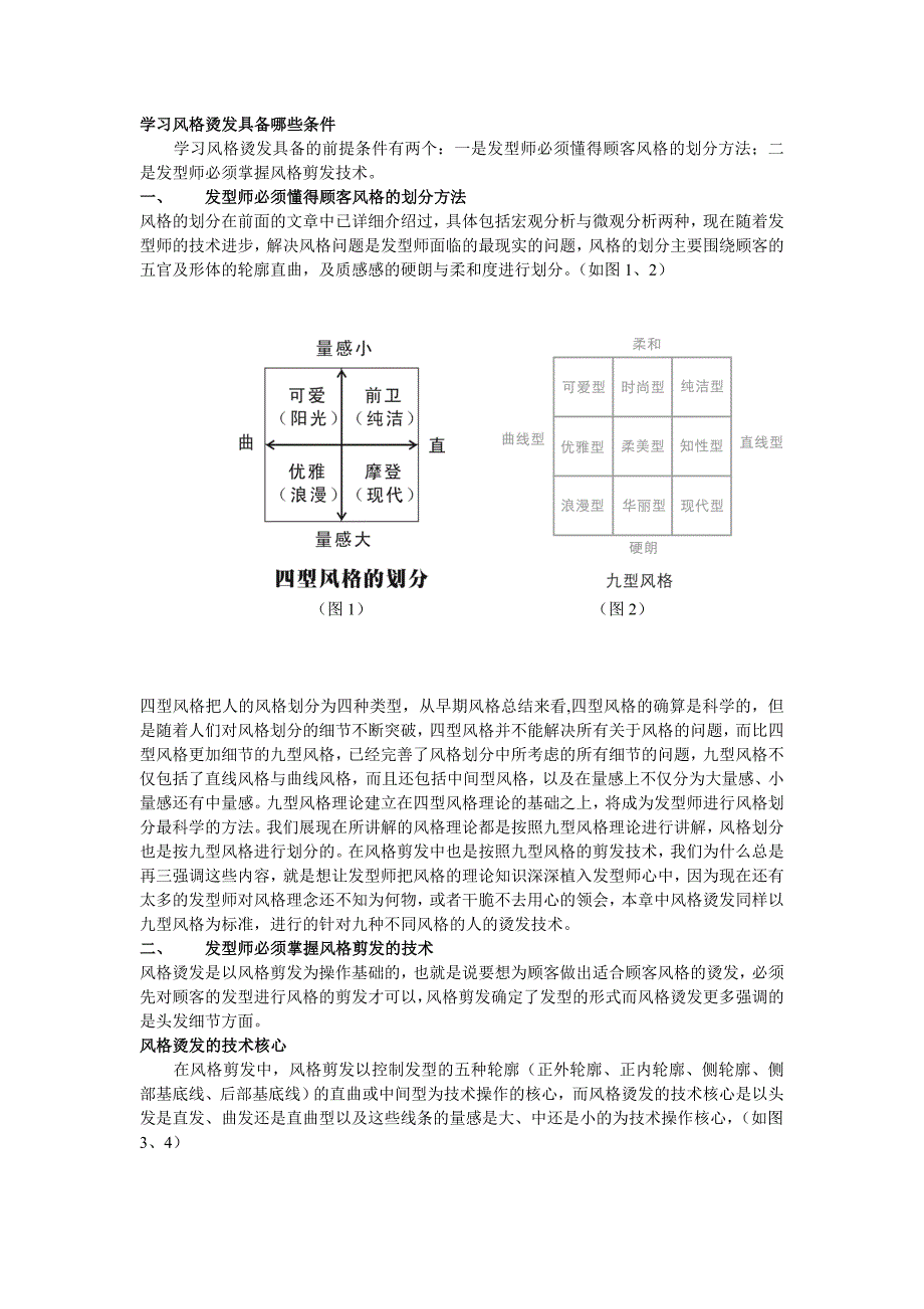 美发个性化技术_第3页