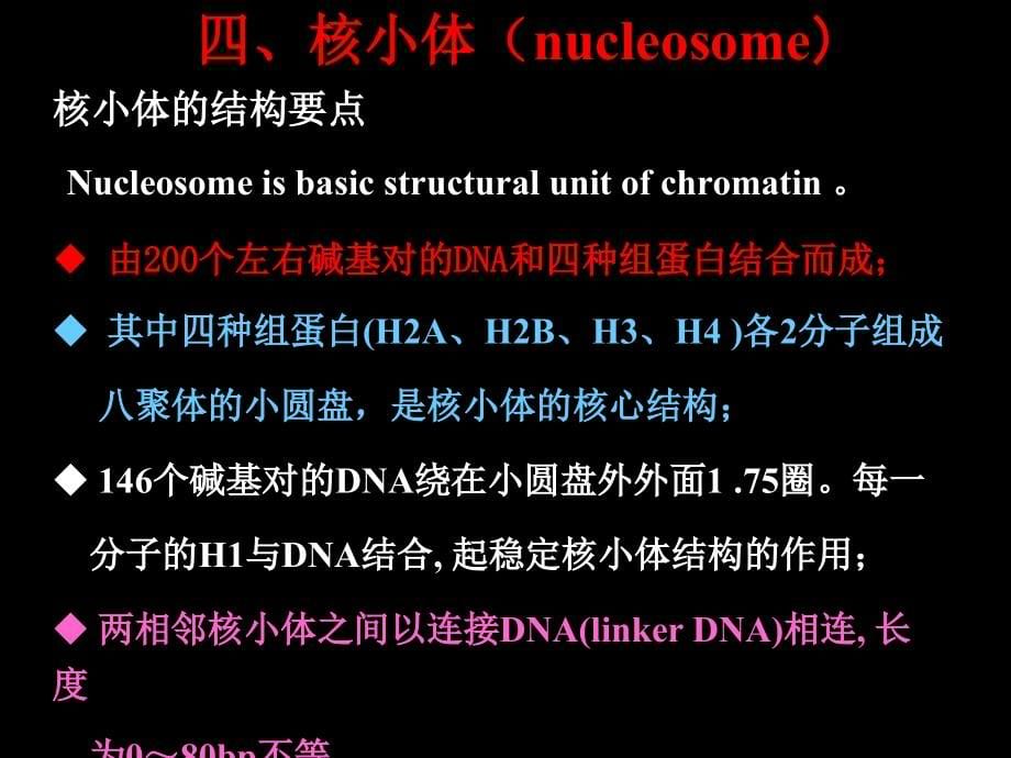 细胞生物学：第10章-2 细胞核与染色体_第5页