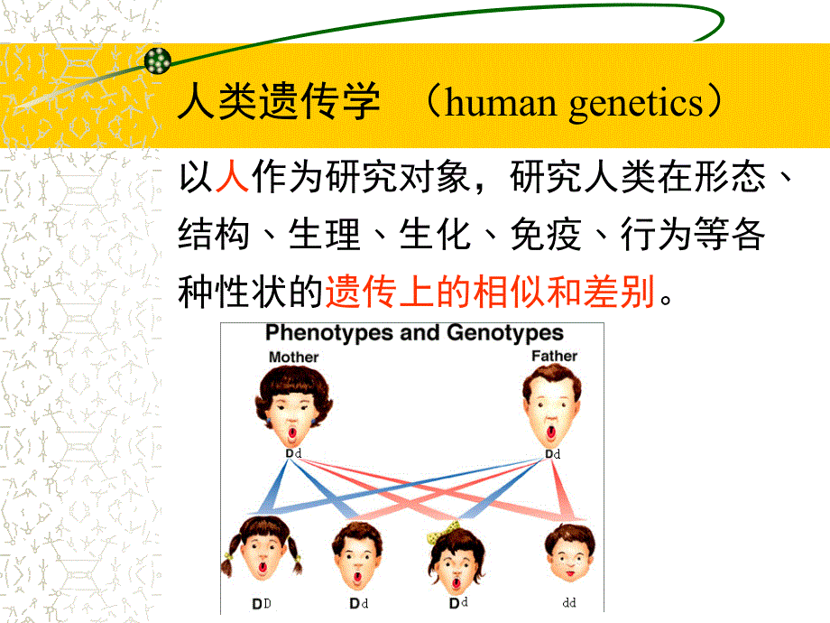 医学遗传学概念_第3页