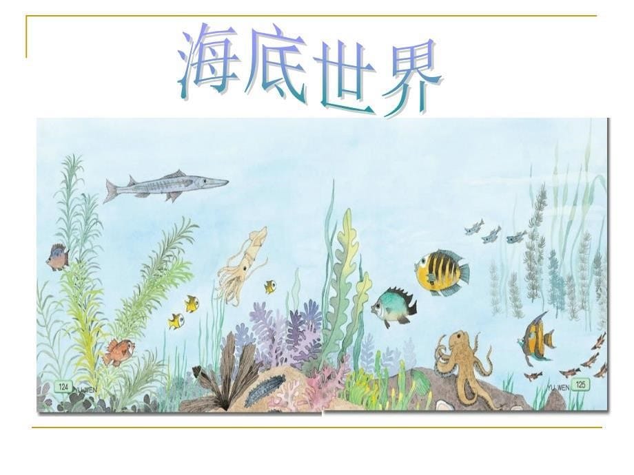 小学语文课件《海底世界》_第5页