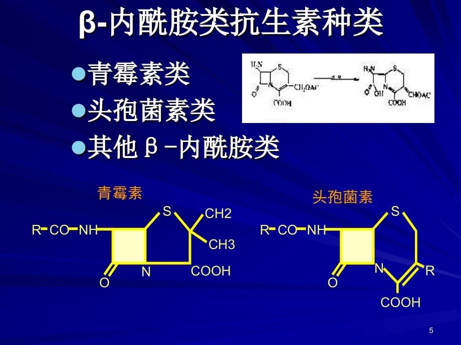 抗生素培训幻灯_第5页