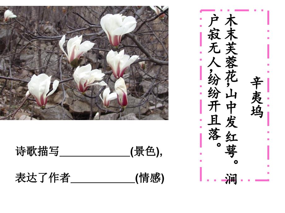 唐诗之旅(一)思想(4)_第4页