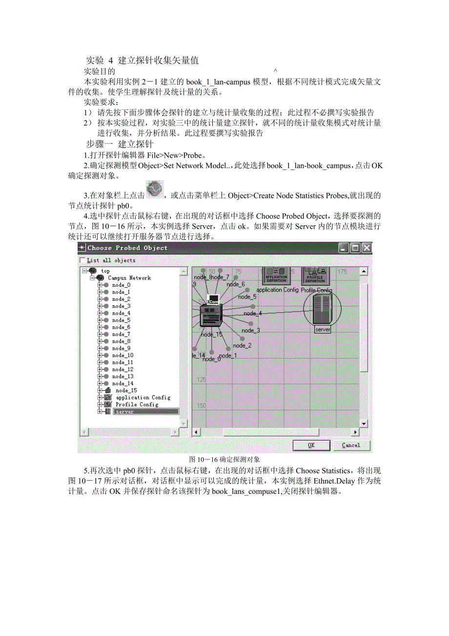 实验 4 建立探针收集矢量值_第1页