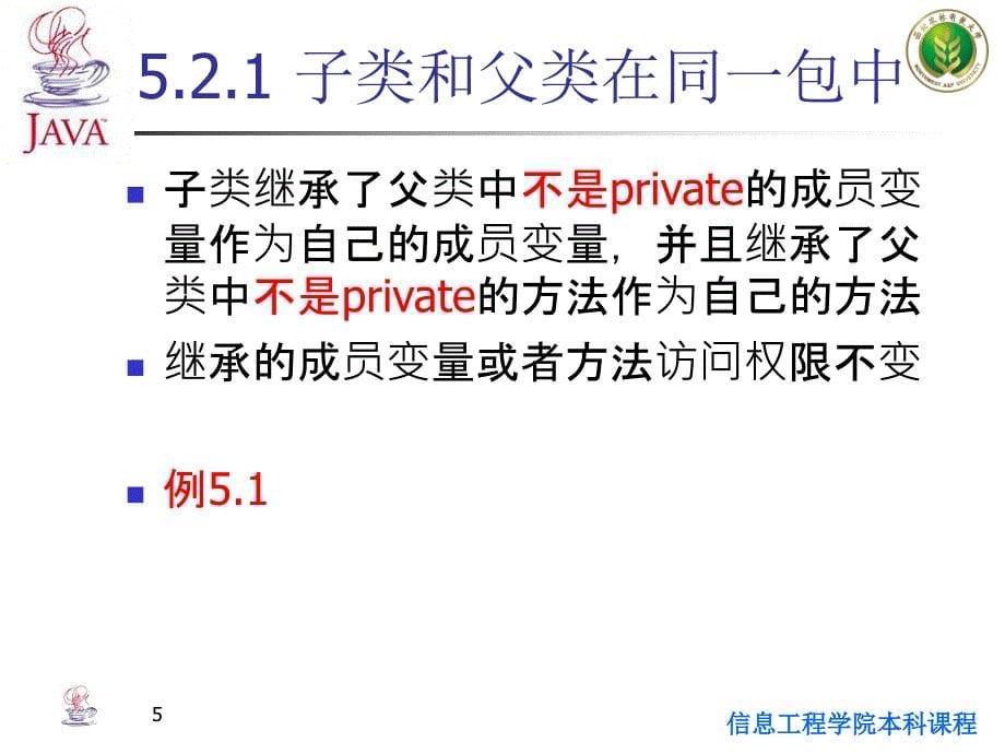 java面向对象程序设计第5章_java 继承与接口_第5页