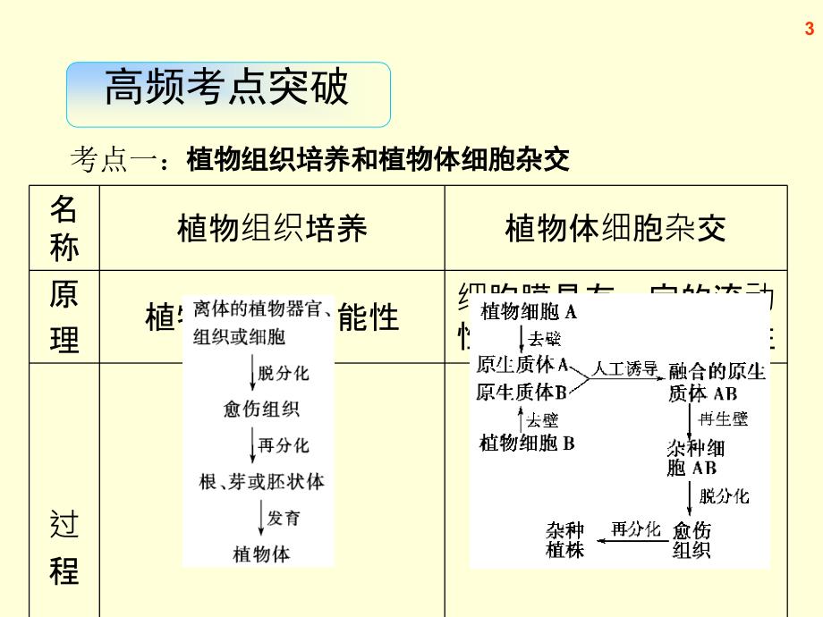 浙科版2013届高三生物复习精品课件----细胞工程_第3页