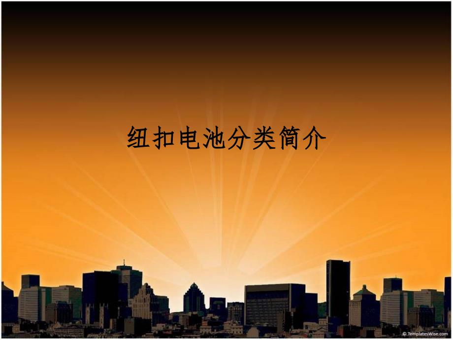 纽扣电池分类简介_第1页