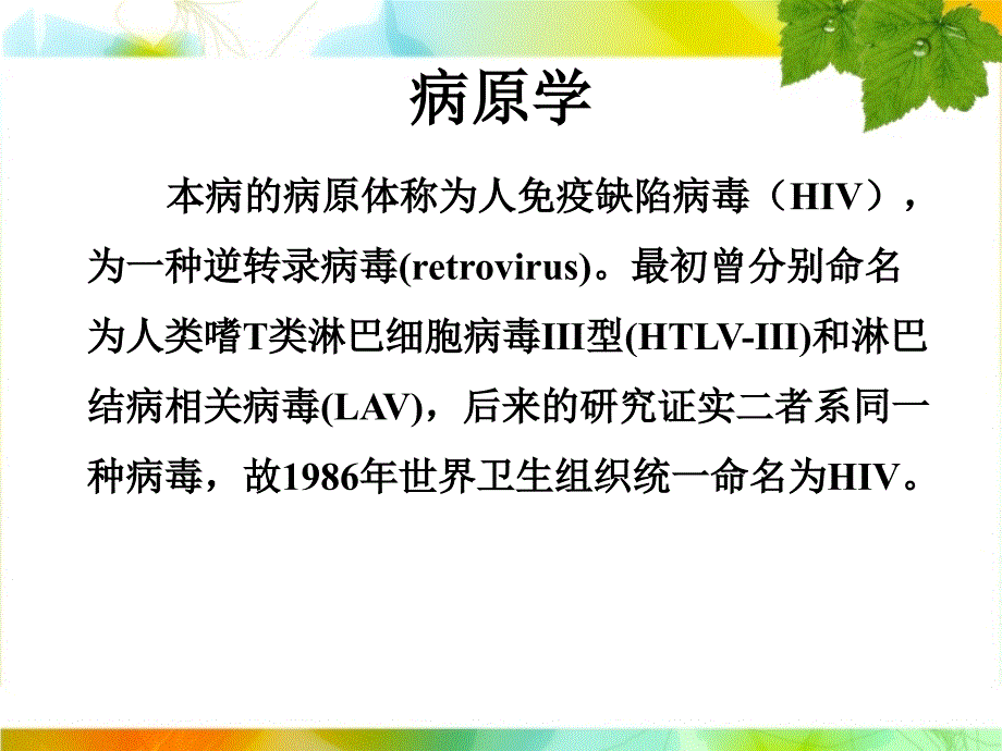 AIDS的临床表现和诊断_第4页