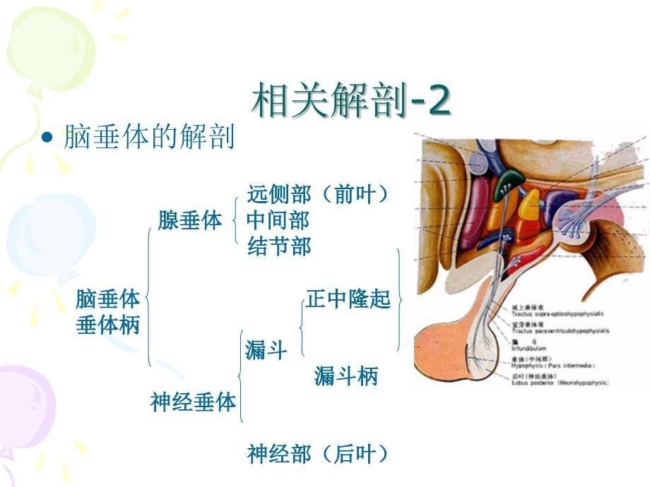 垂体腺瘤的治疗与护理_第5页