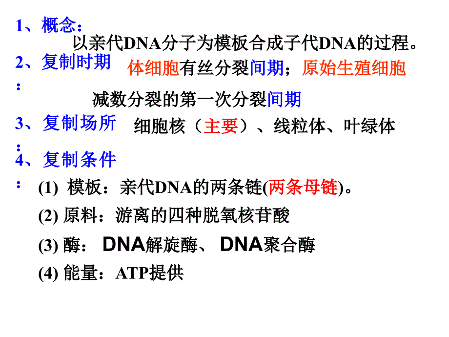 复习dna分子的复制_第2页