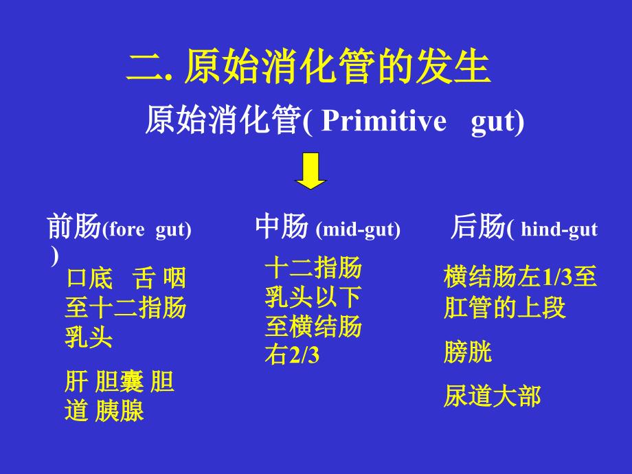 先天性消化道畸形的诊断和治疗_第3页