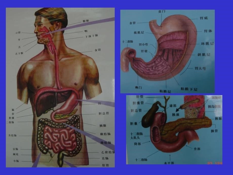 先天性消化道畸形的诊断和治疗_第5页