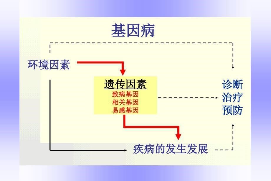 肾脏疾病遗传学-研修班2009_第5页