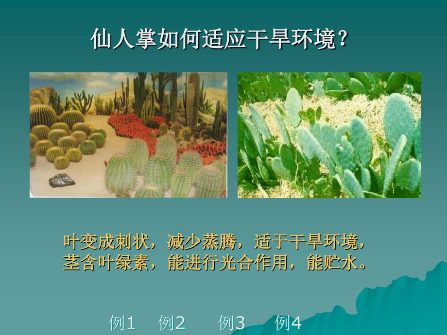 环境对生物的影响 课件_第2页