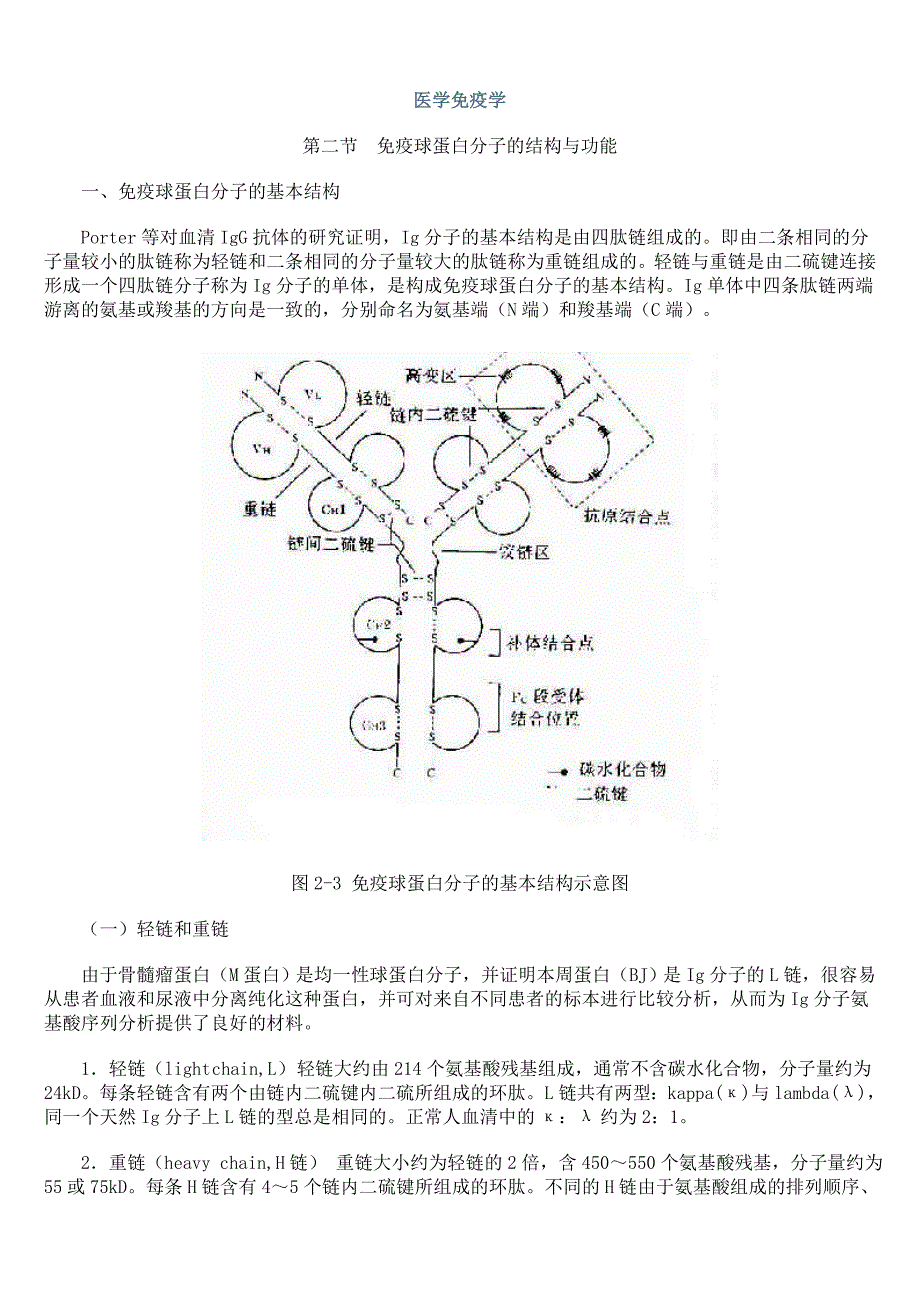 医学免疫学： 免疫球蛋白分子的结构与功能_第1页