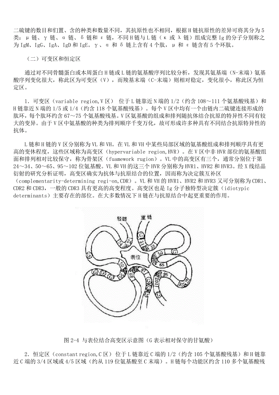 医学免疫学： 免疫球蛋白分子的结构与功能_第2页