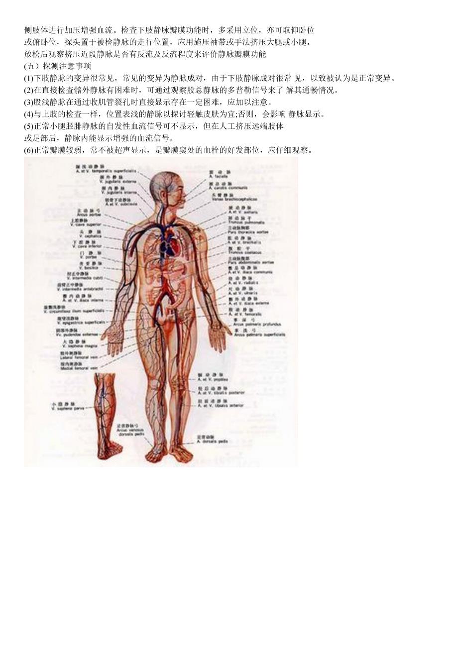 外周静脉的超声检测方法_第2页