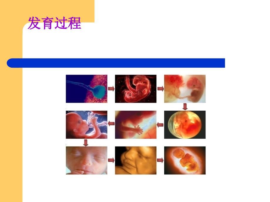 妇科b超在临床上的应用_第2页