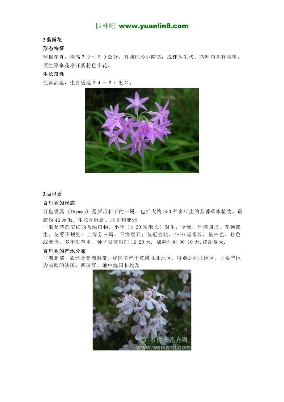 [农林牧渔]100种花境植物、有解析和图片_第2页