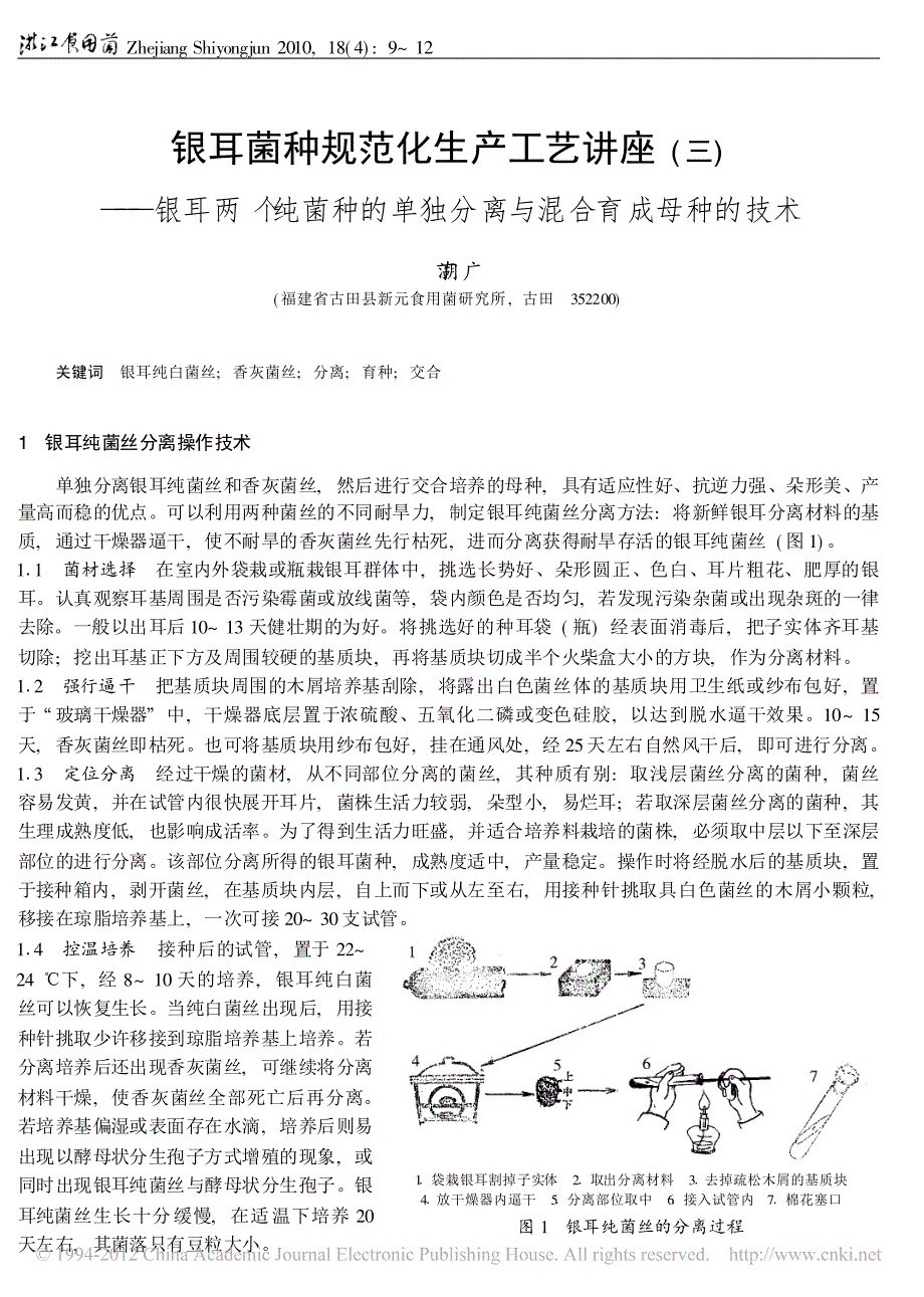 银耳菌种规范化生产工艺讲座_三_银耳两个纯菌种的单独分离与混合育成母种的技术_第1页