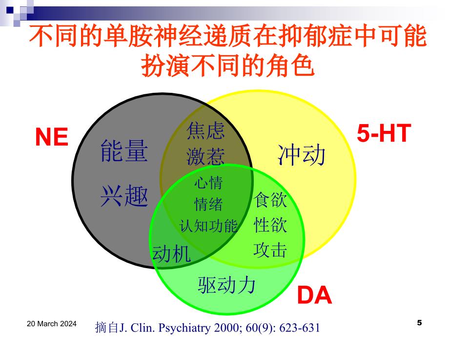 讲课抑郁药物_第5页