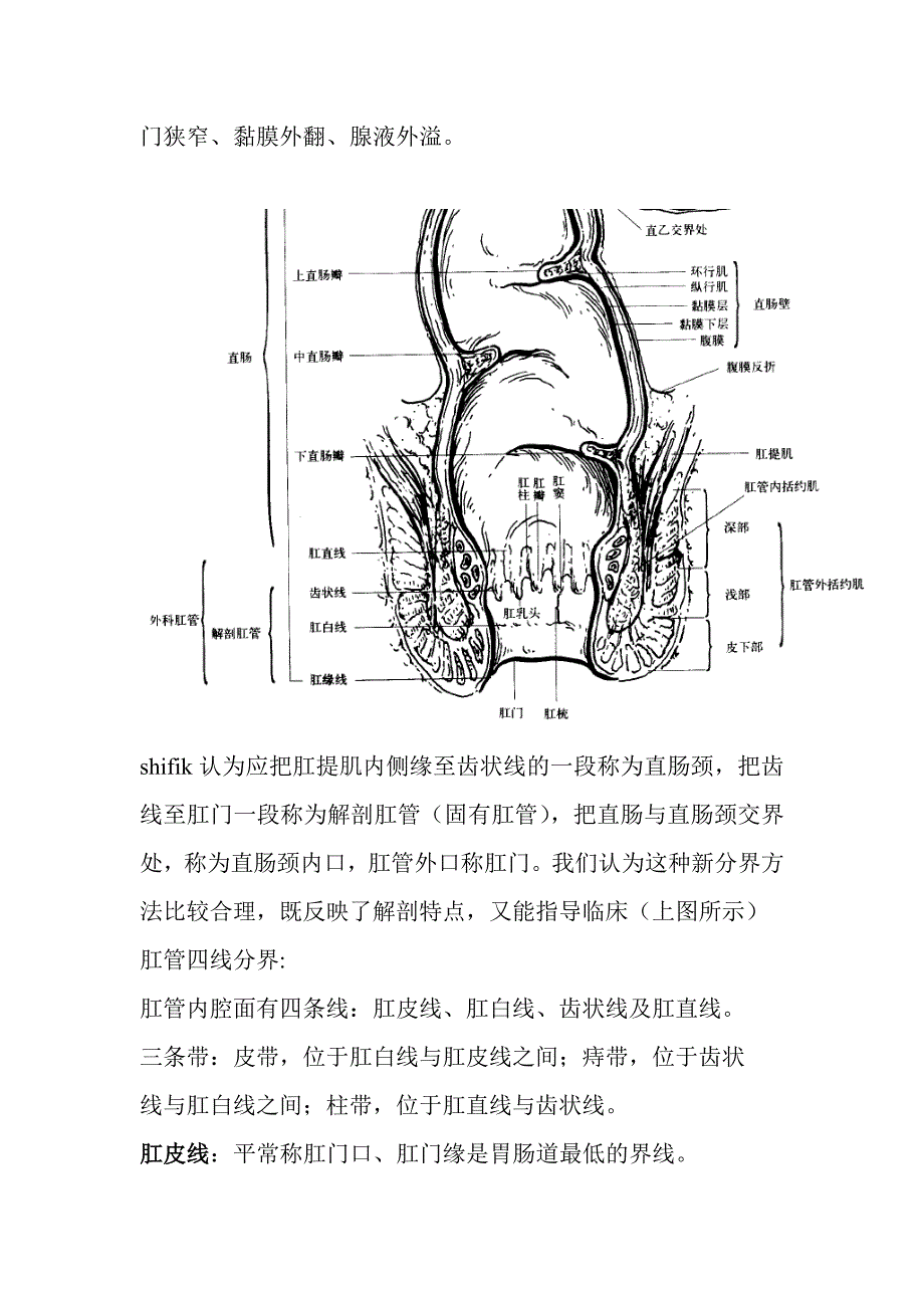肛门直肠局部解剖_第4页
